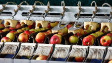 Currently, around 43,000 tonnes of surplus food is redistributed from retailers and food manufacturers every year, the government says